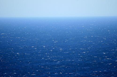 Ecologistas buscan apoyo para proteger los océanos