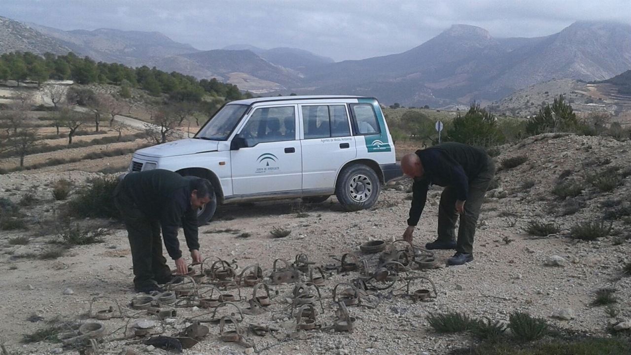 Cebos cárnicos y cepos prohibidos en un coto ubicado entre Almería y Granada