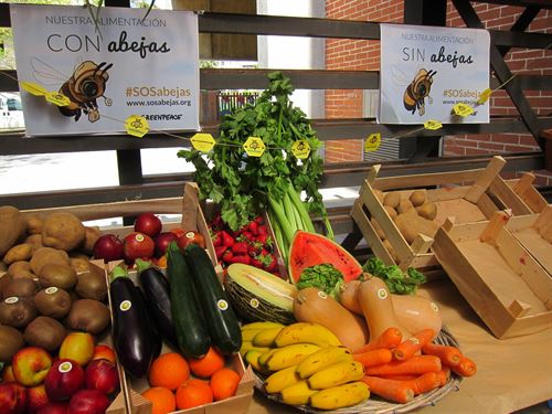 El declive de las abejas pone en riesgo 2.400 millones