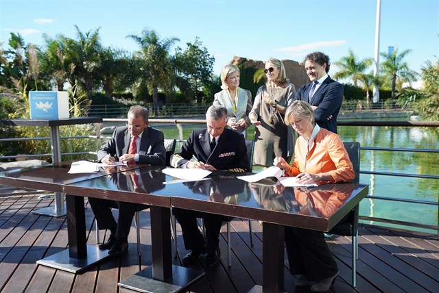 Fundación Oceanogràfic impulsa un proyecto pionero de asistencia social y conservación de los leones marinos
