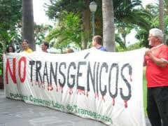 América Latina y el agresor silencioso: MONSANTO