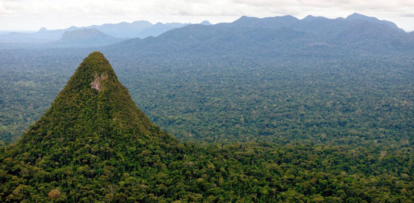 Más de 150 especies de mariposas se registran durante inventario preliminar en Parque Nacional Sierra del Divisor