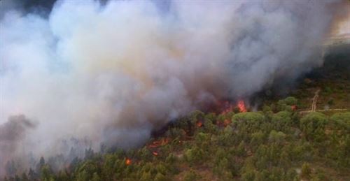 La protección de suelos quemados es fundamental para la regeneración de los ecosistemas