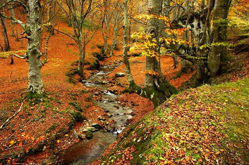 La Rioja destina fondos para actuaciones forestales de lucha contra el cambio climático