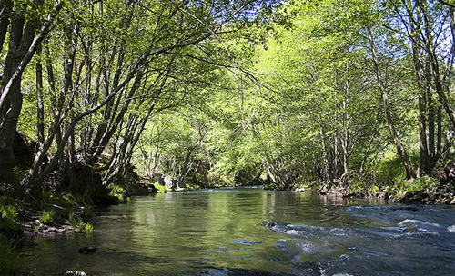 Desarrollo de actuaciones medioambientales en Castilla y León