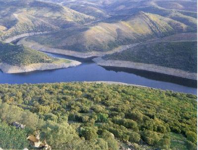 Los embalses españoles al 67