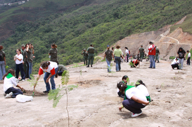 Más de mil hectáreas del Warairarepano se han reforestado