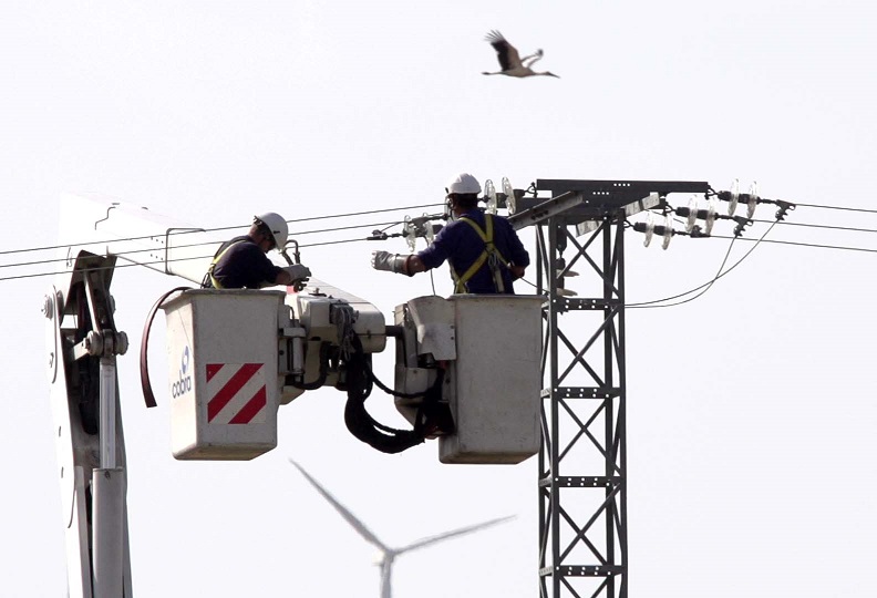 El Consorcio Provincial de Ávila-Norte celebra el Día Internacional de las Aves contribuyendo a su conservación.