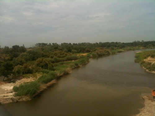 Plataforma Defensa Tajo y Alberche propone integrar los dos ríos dentro de Talavera (Toledo)