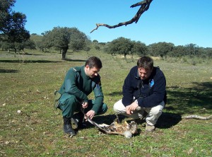 Extremadura contra el uso de venenos en el medio natural