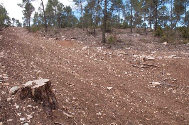El reparto ‘desigual’ de ayudas a biomasa en la Comunidad Valenciana