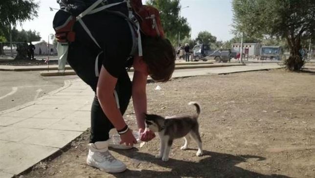 Una refugiada siria de 17años hace el ‘viaje de la vergüenza’ a Europa con su perra Rose