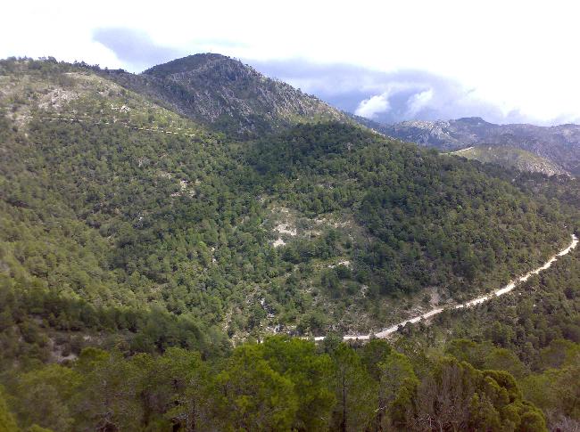 La Consejería de Turismo