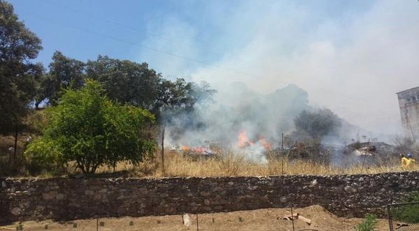 Extinguido el incendio declarado en Almadén de la Plata (Sevilla)