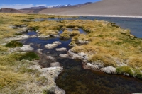Celebran Día Internacional de los Humedales