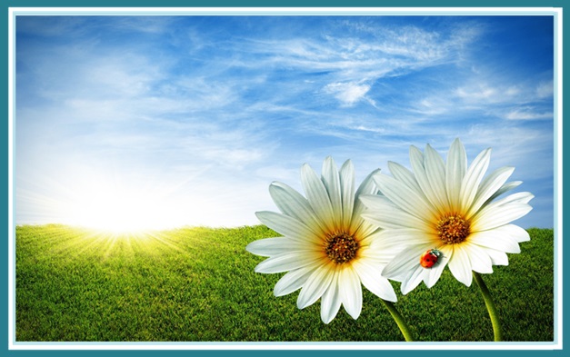 Quizás tu futuro laboral sea ser asesor medioambiental