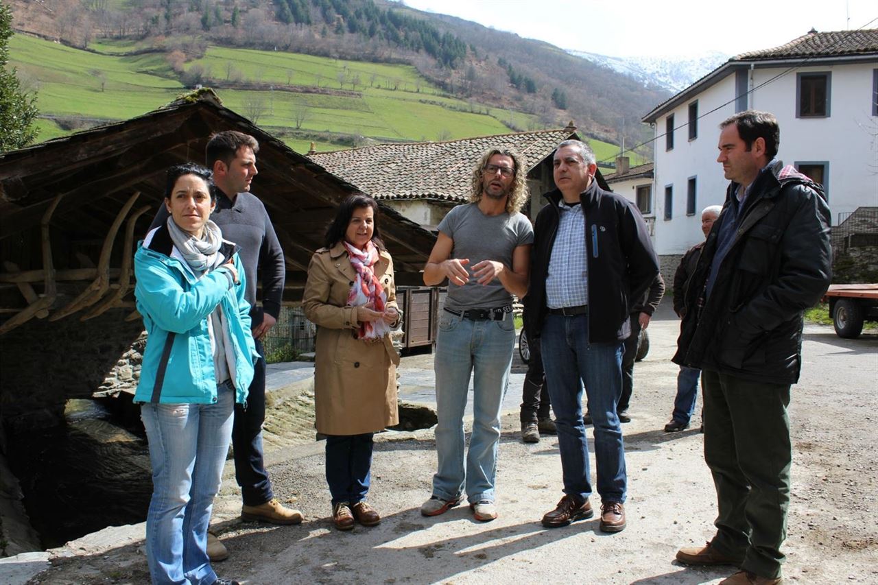 Medidas para proteger el oso pardo