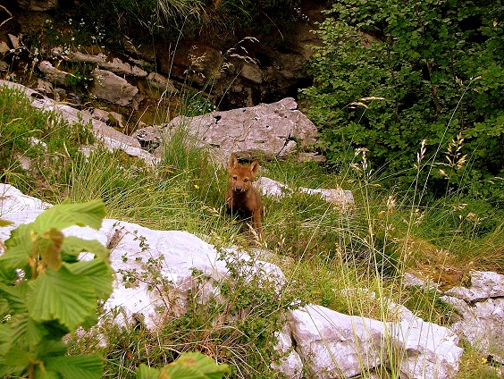 Escándalo mayúsculo