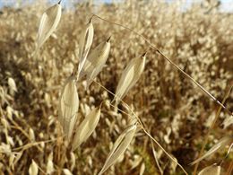 No hay vuelta atrás en el calentamiento global para las temperaturas más altas