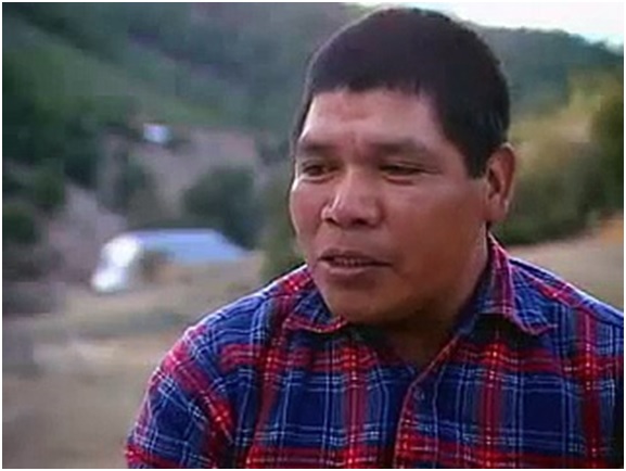 Otro activista medioambiental muere en México