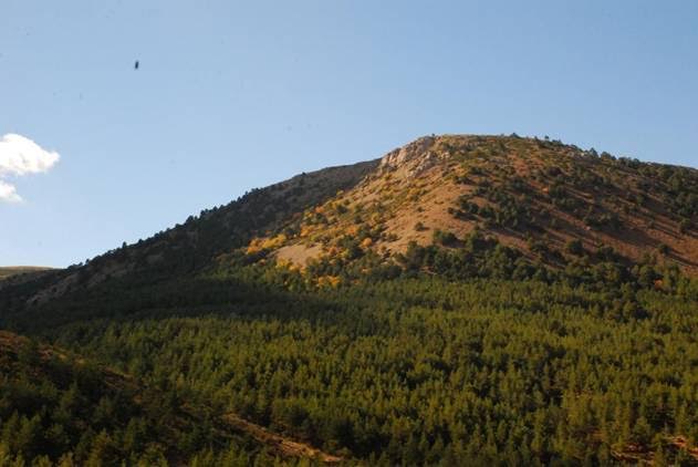 Fulminadas tres hectáreas del Parque Natural Sierra de Baza