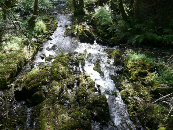 Junta abre expediente a una industria de aceites por verter productos contaminantes al río Cabra