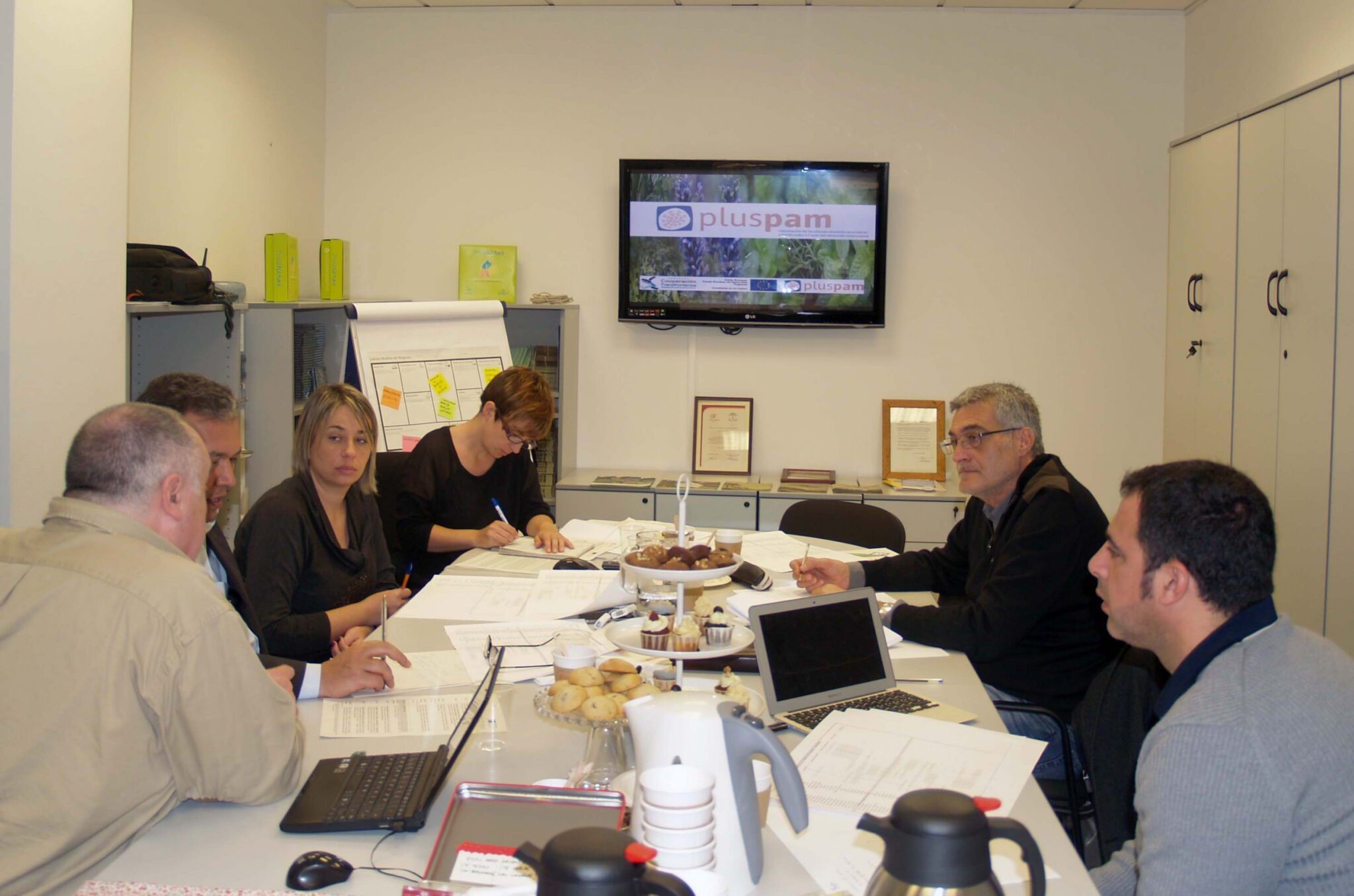 Comienza el proyecto Pluspam