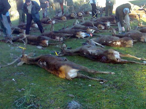 Castilla – La Mancha