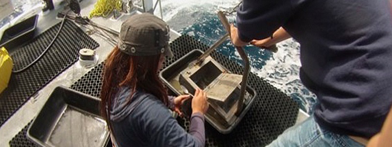 Qué son los contaminantes orgánicos persistentes