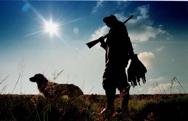 La caza no crea empleo