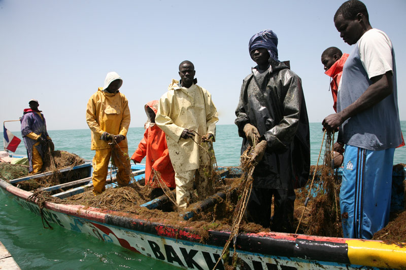 Pescadores africanos visitan Galicia para intercambiar experiencias con marineros gallegos