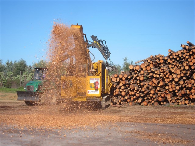 Andalucía incentiva cerca de 23.000 proyectos de biomasa con 61 millones de euros