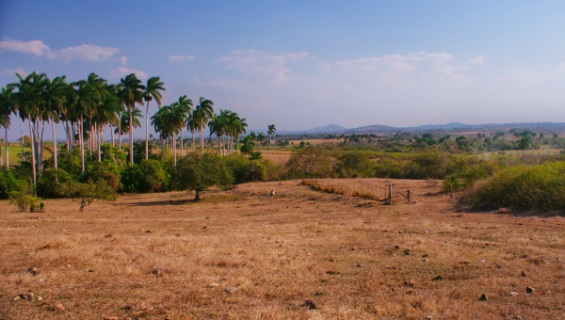 Cuba se enfrenta a la peor sequía en 100 años