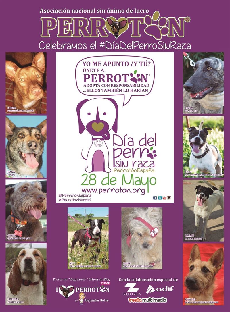 Día del Perro Sin Raza