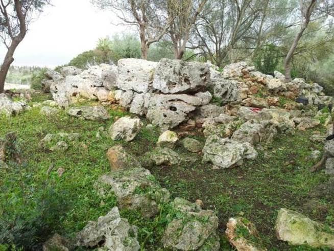 El proyecto Bitácora ya está en Baleares para conocer e investigar la fauna y la flora autóctonas