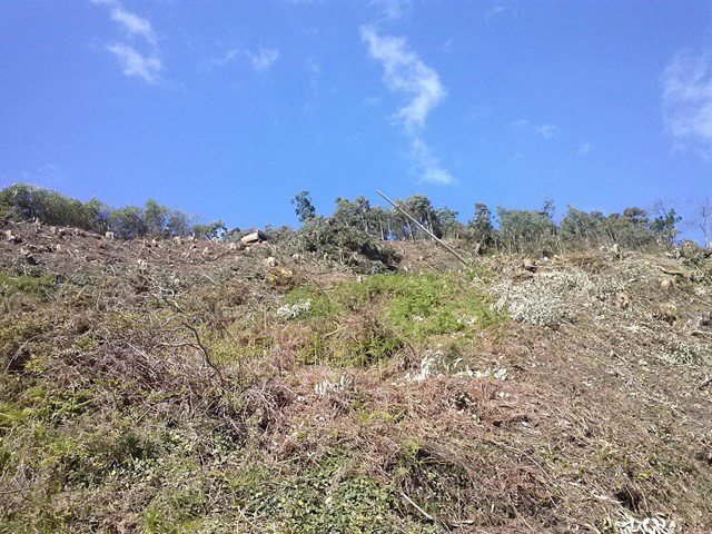 Una empresa maderera resuelve con 360 euros una multa por contaminación en Villaviciosa