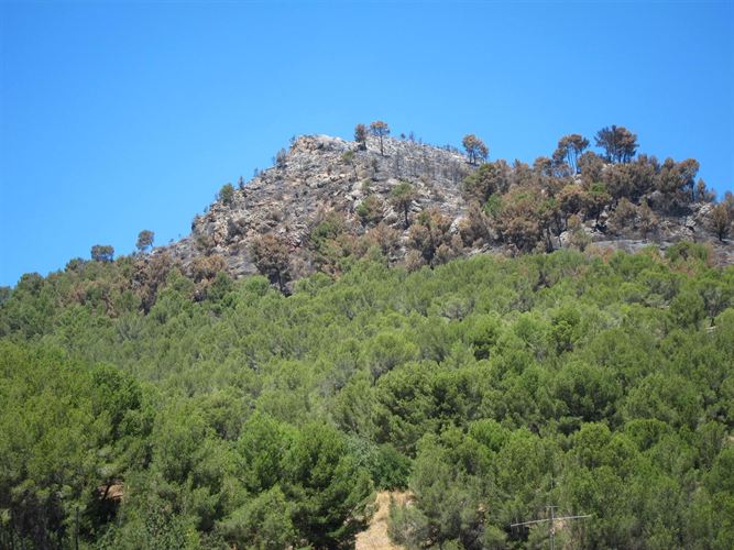 Islas Baleares. Unos 40 efectivos del Ibanat siguen refrescando la zona quemada