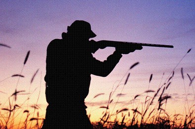 En Alcalá de Henares dos cazadores entierran viva a una perra en estiércol