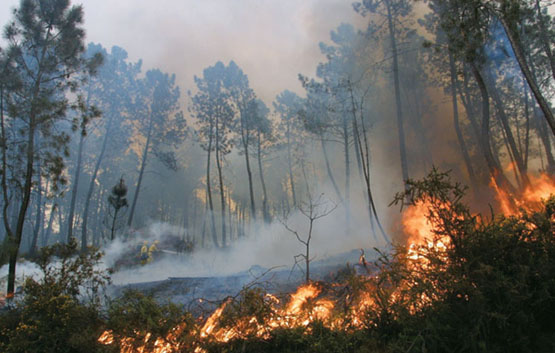 La Junta baja a nivel 0 el incendio de Toreno (León)