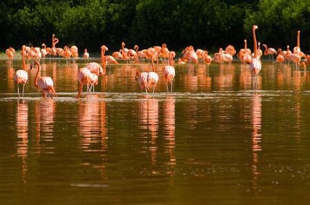 Entrevista a Miguel Clüsener-Godt