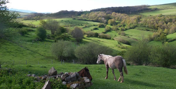 Ministro Cañete: Espero que la Red Natura 2000 gane el ‘Balón de Oro’ del conservacionismo