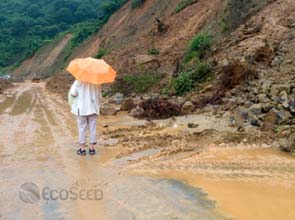 Insurance industry keen to cover climate-related risks