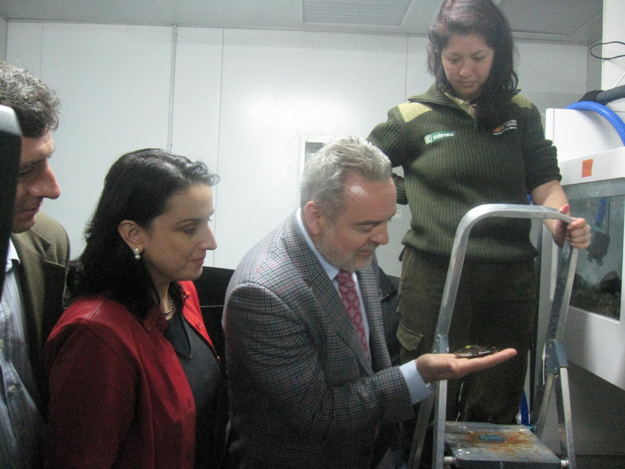 El Acuario de Zaragoza colabora en experiencias de cría en cautividad de la Margaritifera auricularia