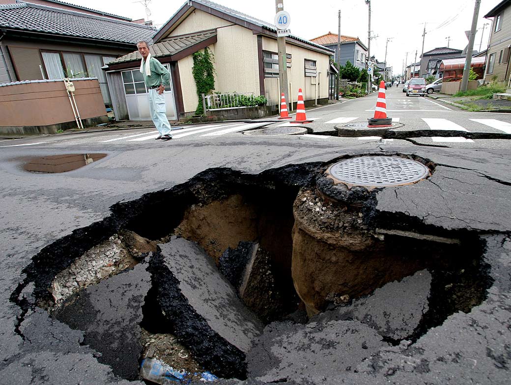 Un zoo de China monoritoriza animales para predecir terremotos