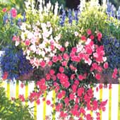 Jardineras combinadas