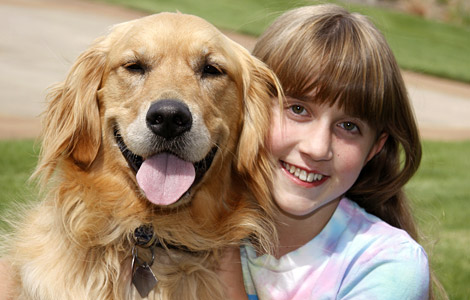 Incremento del abandono de animales en España