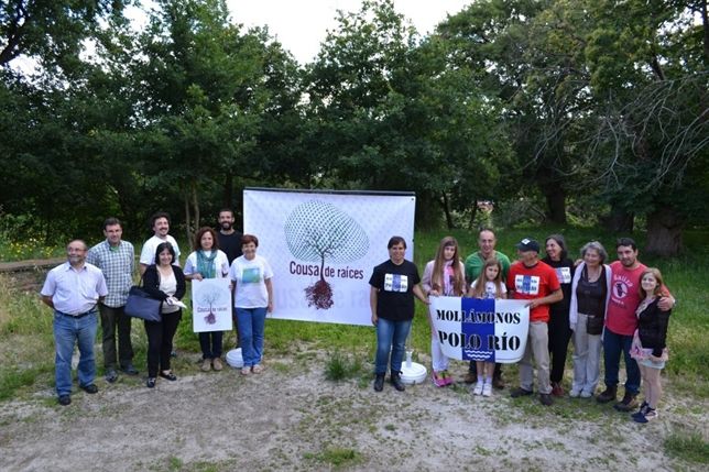Solo un tercio de la masa forestal gallega corresponde a bosque autóctono