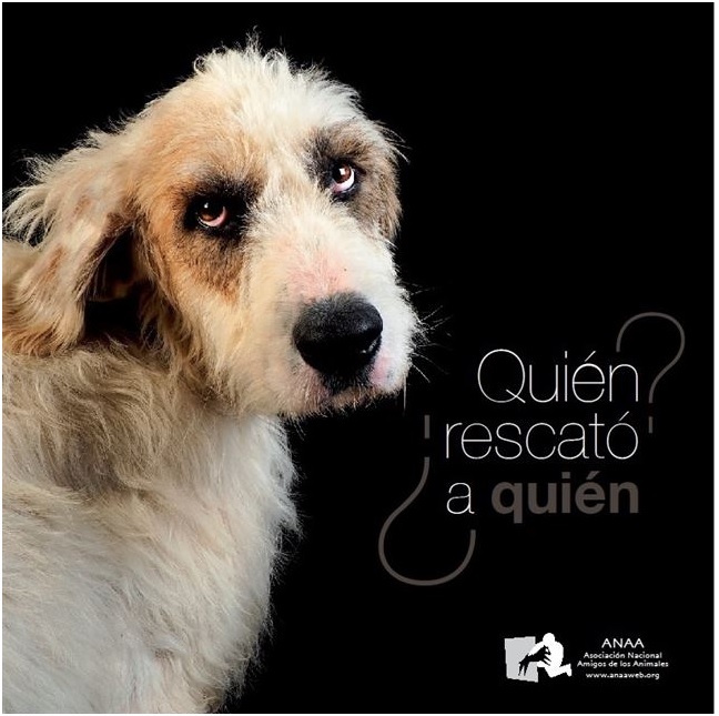 Quién rescató a quién