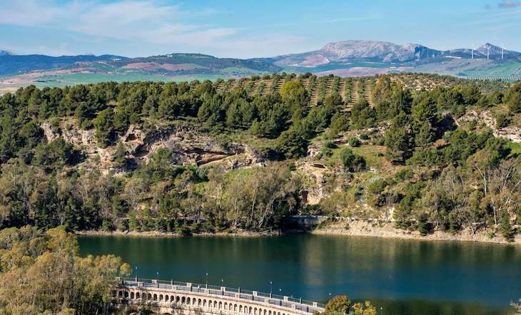 Nuevo mensaje del ‘papa ecológico’