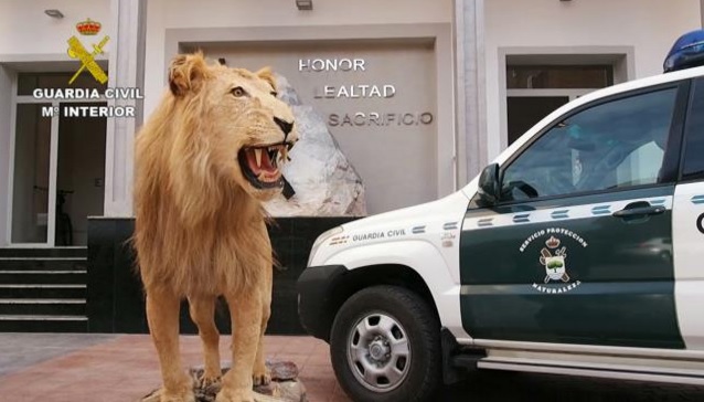 Detenidas 59 personas por tráfico de especies en la operación Thunderbird de INTERPOL en 42 países